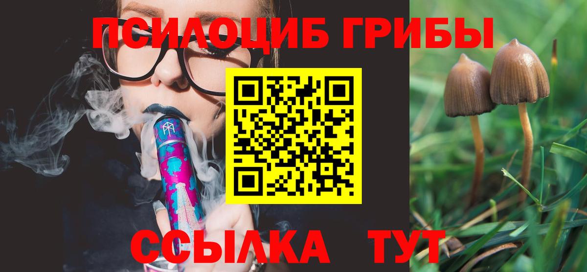 Псилоцибиновые грибы Cubensis  наркотики  Самара  Вход с VPN 